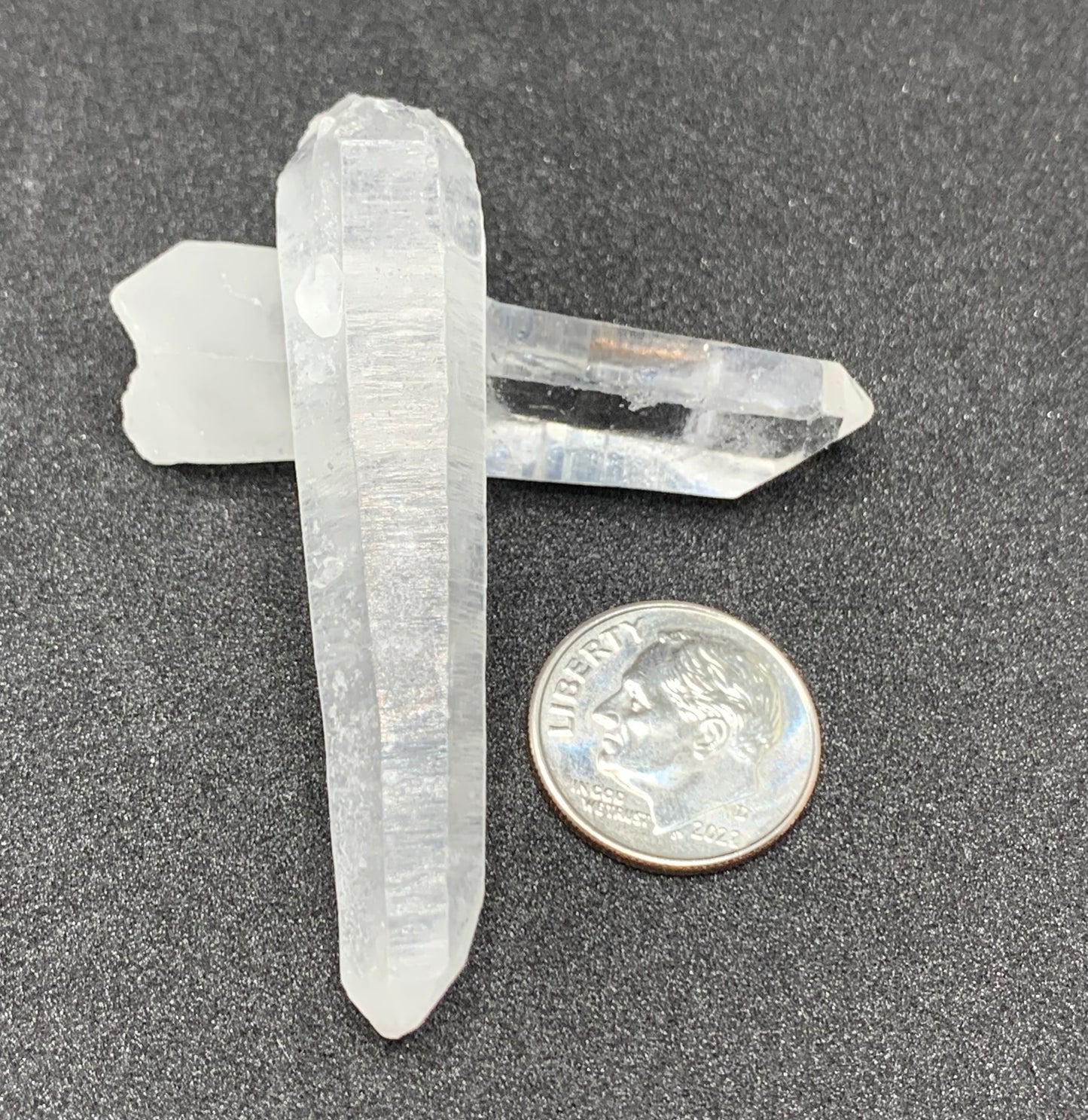 Lemurian Seed