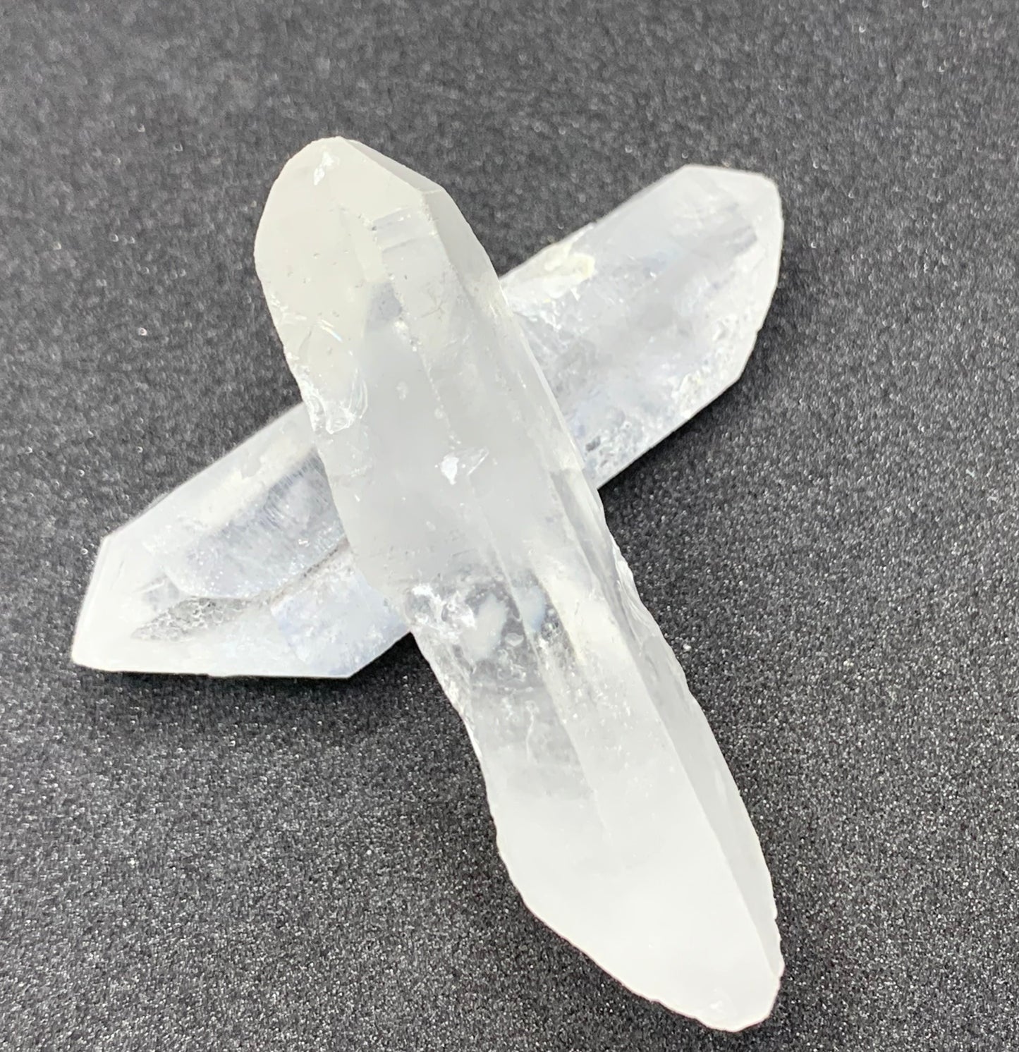 Lemurian Seed